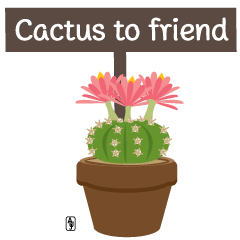 Cactus to friend English version