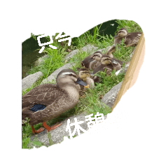 Rie2