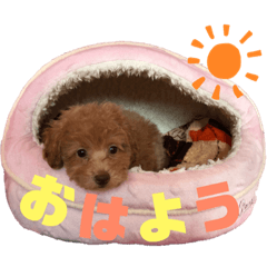 AO_20190615142018