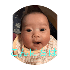 TARO_20190615145153