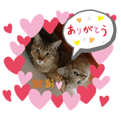 minako_20190615110616