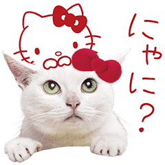 Anago Chan Hello Kitty Line Stickers Line Store