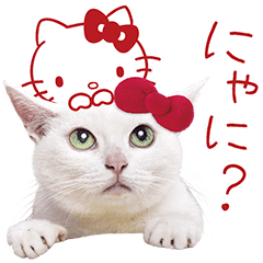 Anago-chan × Hello Kitty