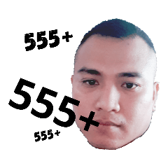 mr.grrenv.02