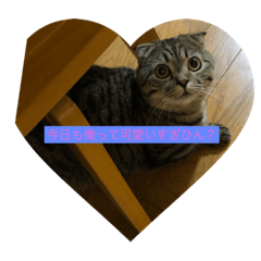 HARUTO_20190615184229