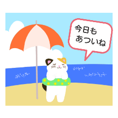 nyanya_san_20190615165024