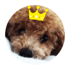 yukiko_20190615203142