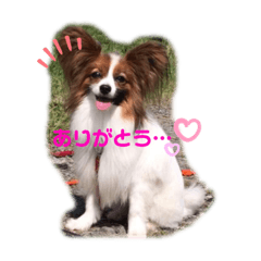 natsuki_20190615171751