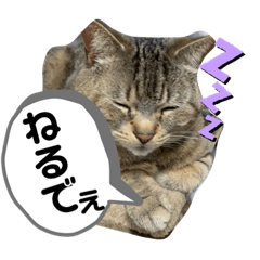 hachikodayo.