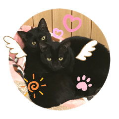 ayumi_20190615224050