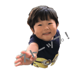 sei_2019