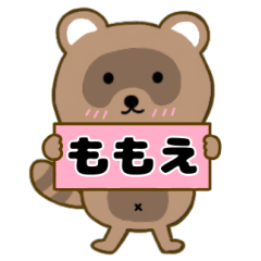 Raccoon3 Momoe
