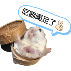 阿啾寶