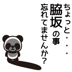 Wakisaka Panda Sticker