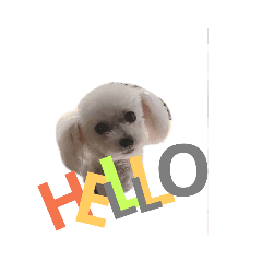 saori_20190616211251