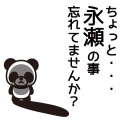 Nagase Panda Sticker