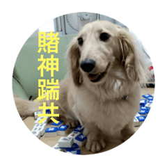 秘魯來一手