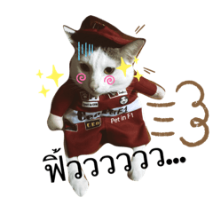 Hachi_20190616220656