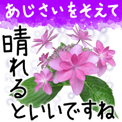 6月梅雨の手書きの言葉に紫陽花を添えて Line スタンプ Line Store 6月梅雨の手書きの言葉に紫陽花を添えて Line スタンプ Line Store