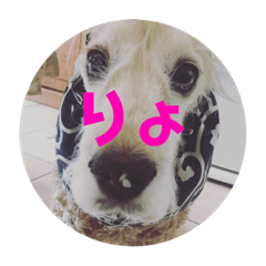 KUMAchan_20190616014307