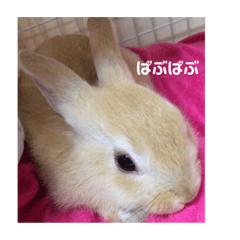 rie_20190616021059