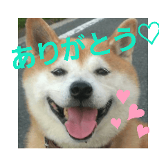 ponta_20190617195055