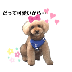 bellteddy_20190617010423