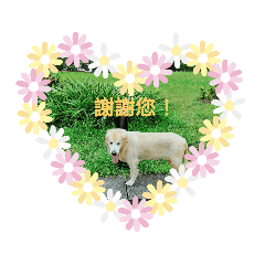 吉利家族