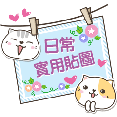 Meow daily practical stickers