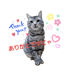 KANAE_20190617013740
