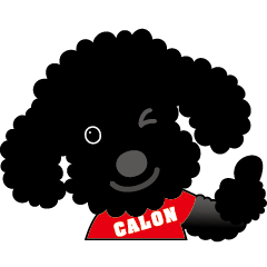 Toy Poodle CALON by chara-planets