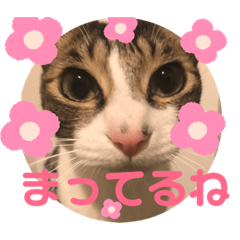 mizuki_20190616160641