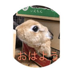 akira_20190617022246