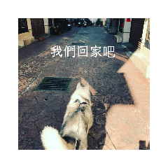 貝貝的一生