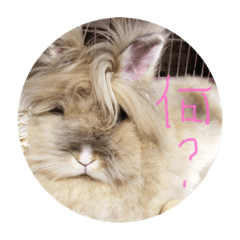 moko_20190617111407