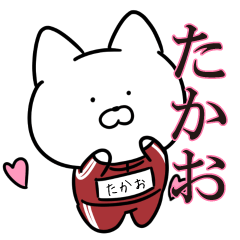 jersey cat Takao