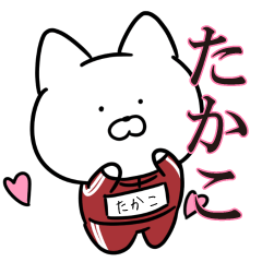 jersey cat Takako