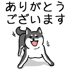 大人可愛い 柴犬のゆる敬語 丁寧語 黒柴 Line スタンプ Line Store 大人可愛い 柴犬のゆる敬語 丁寧語 黒柴 Line スタンプ Line Store