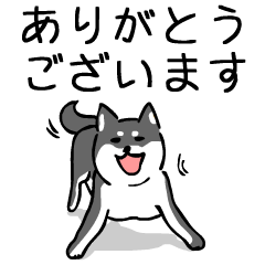 Sibainu Cute Dog keigoVer [Black]