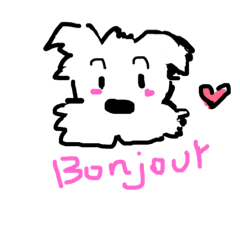 whiteSchnauzer  Ange