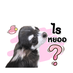 Tabo......