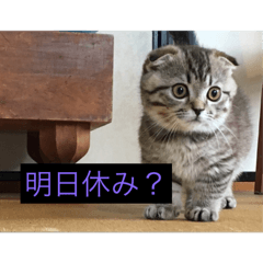 HARUTO_20190616203214