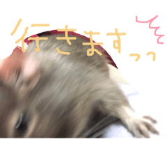 ayano_20190616203145
