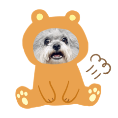 旺旺特攻隊