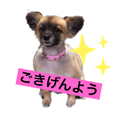 kazumi_20190616145221