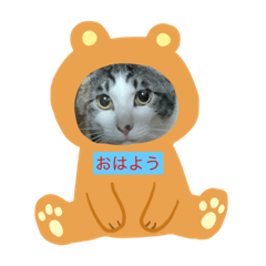 nyanko_20190616184240