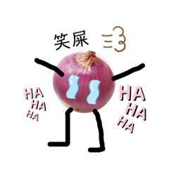 紅蔥頭的成長
