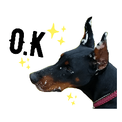 minami dogs2