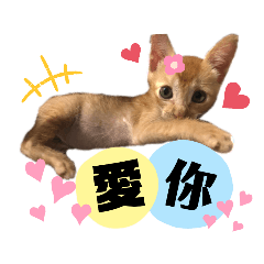 我是小男生啤酒