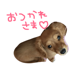 Yukari_20190618233326